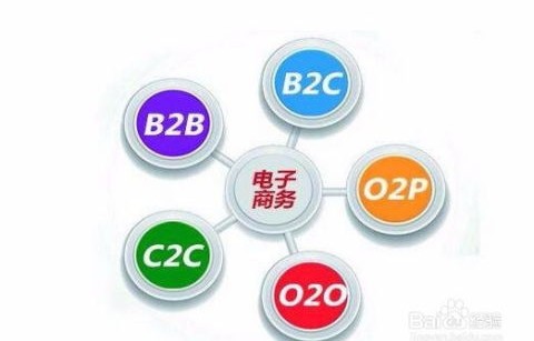 电子商务国考的专业编号