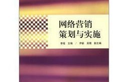 电子商务专业营销策划案