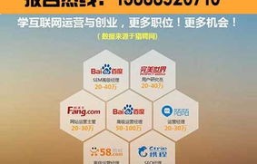 读电子商务市场营销专业