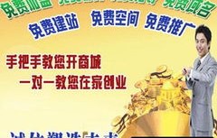 专业性较强的电子商务