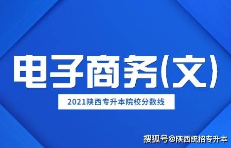 专升本专业课电子商务