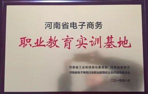 专业性电子商务咨询公司