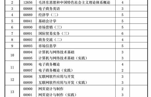 电子商务专业大专有吗