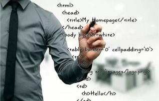 电子商务专业里有java的