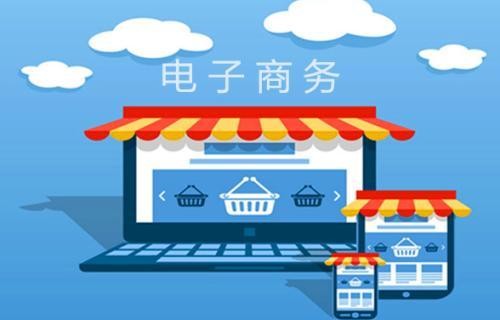 国外有没有电子商务专业