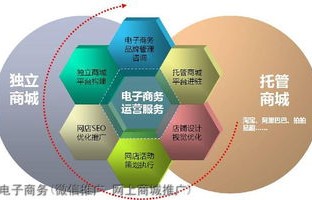 电子商务专业二级学科