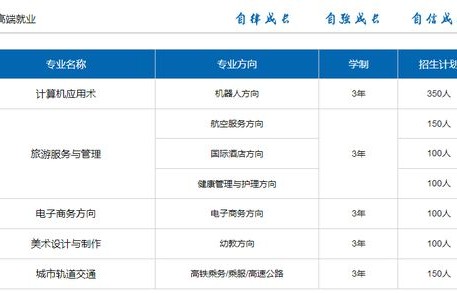 中专生电子商务专业水平