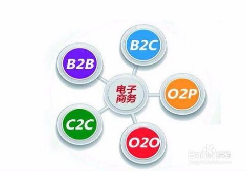 电子商务国考的专业编号