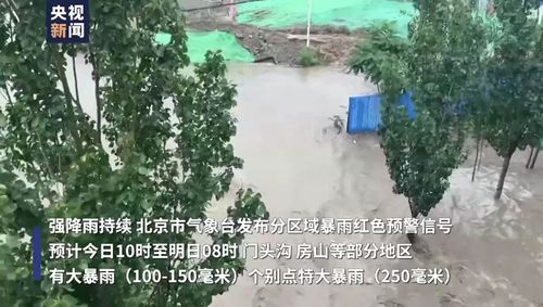 直击甘肃陇南大暴雨，洪流卷走汽车，家园瞬间被淹没