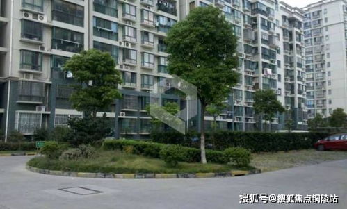 松江区专业性电子商务费用