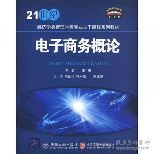 电子商务专业经济学论文