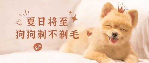 男子误杀邻居宠物螳螂赔400元，引发邻里和谐新思考